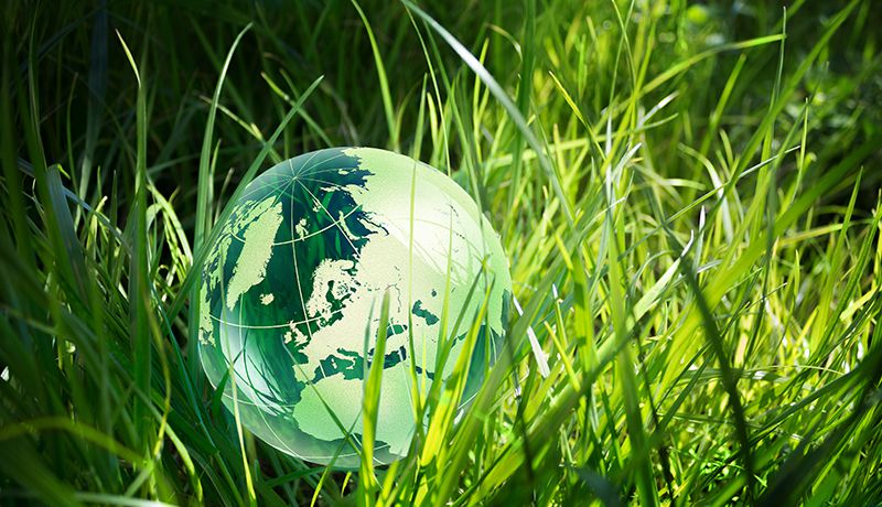 Regional Collaboration Key to Unlocking Ireland’s Bioeconomy Potential