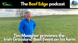 Listen: Simplifying the system to maximise grass – Tim Meagher’s approach