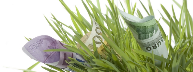 Pasture Profit Index