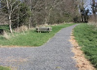 Why farmers should take a closer look at the NeighbourWood Scheme